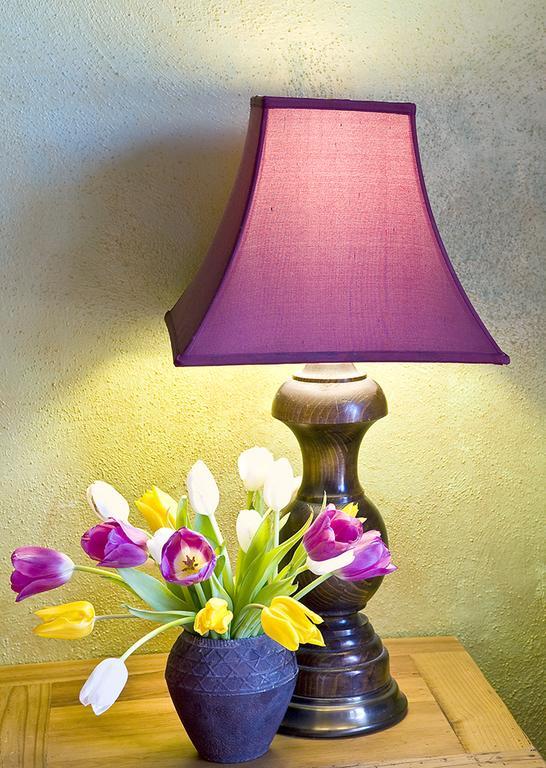 Casa Gallina - An Artisan Inn Taos Phòng bức ảnh