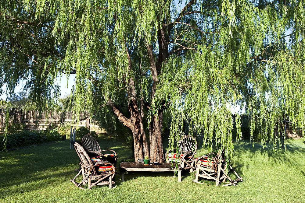 Casa Gallina - An Artisan Inn Taos Ngoại thất bức ảnh